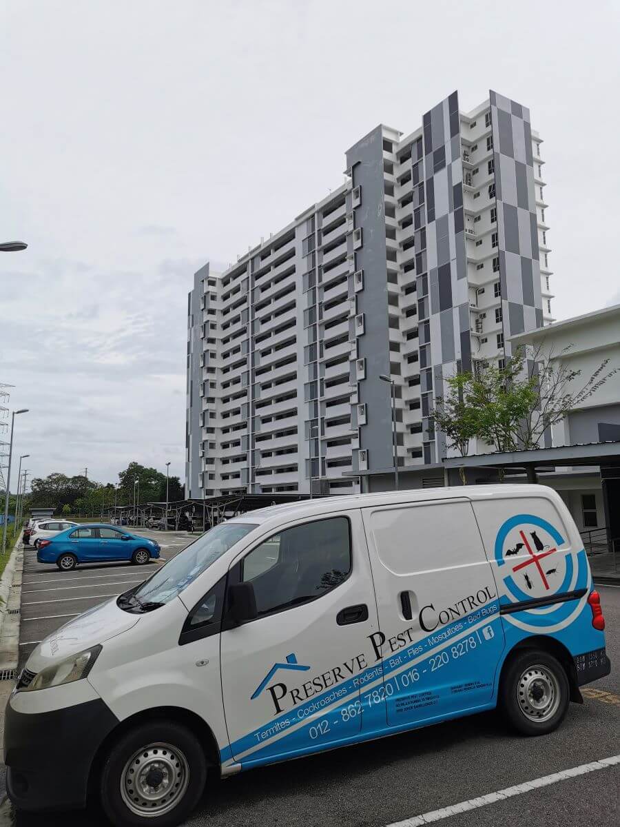 Preserve Pest Control | Pest Control Johor Bahru | 新山专业消灭白蚁老鼠蟑螂服务